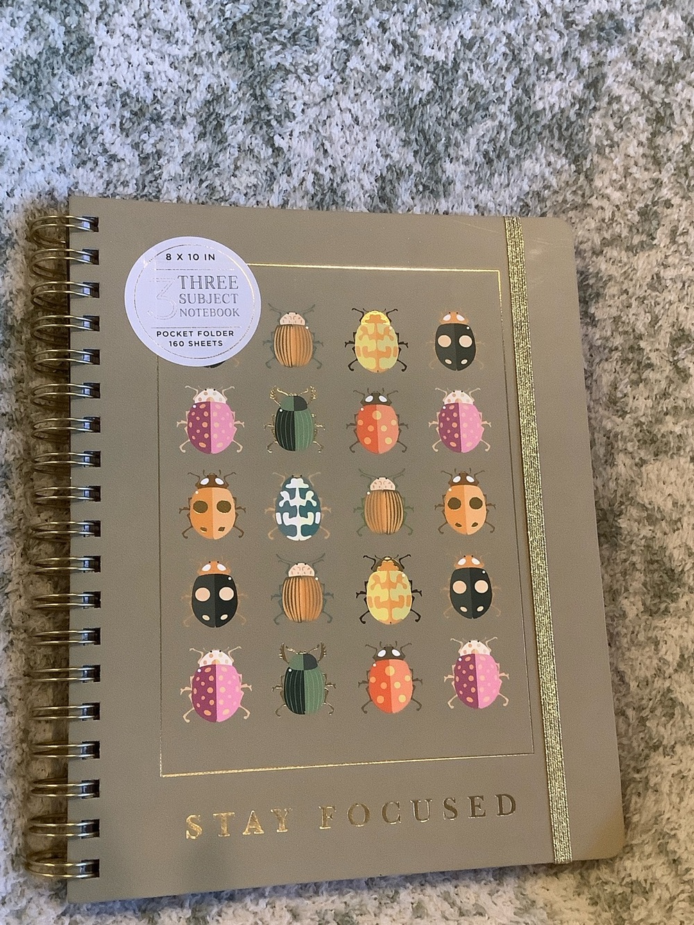 Stay Focused Spiral 3 Subject Notebook with Colorful Bug Design NWT 160pgs 8x10”